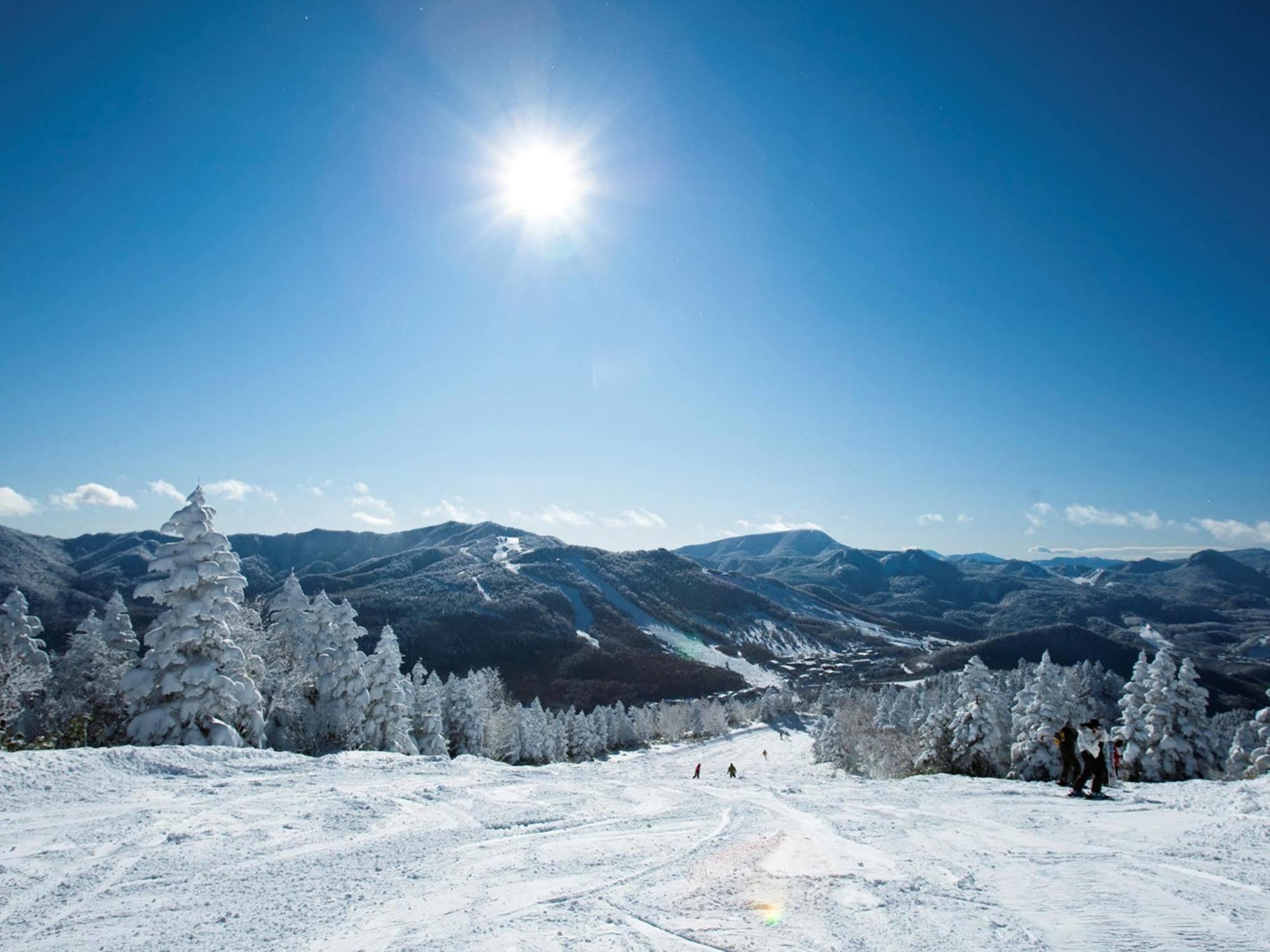 山之內 Shiga Kogen Prince East酒店 外观 照片